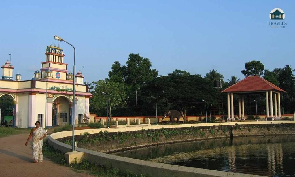 ambalapuzha-palpayasam-price-2026-updated