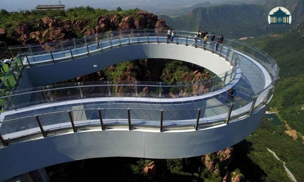 nature-safari-at-the-bridge