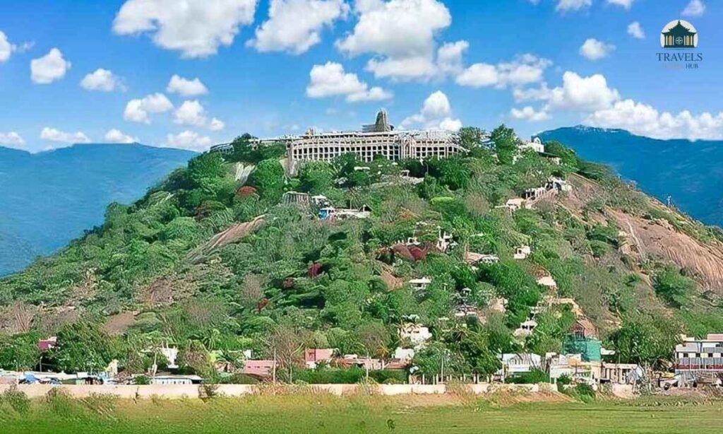 palani-murugan-temple-contact-details-2026-office-booking-and-queries