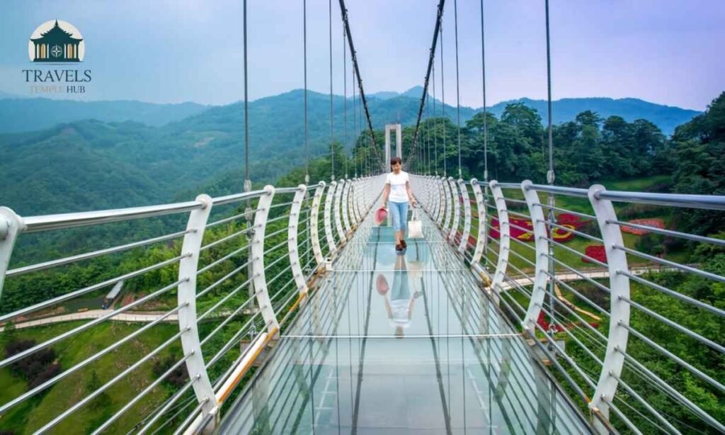 rajgir-glass-bridge-address-and-contact-number
