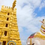 srisailam-darshan-timings-2026-abhishekam-seva-prasadam-and-online-booking-guide