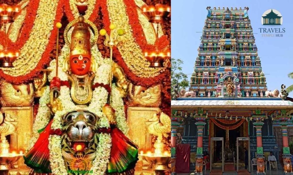major-festivals-celebrated-at-peddamma-talli-temple